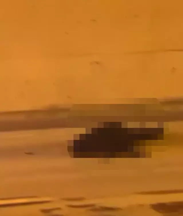 Akrabalarını önce silahla vurdu sonra yerde tekmeledi! Hepsi suç makinesi çıktı | Flaş Gelişme