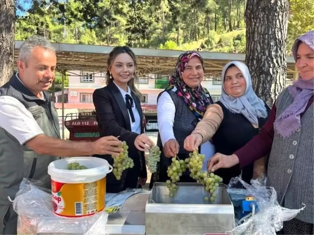 Adana\'da İklime Dirençli Ormancılık Projesi