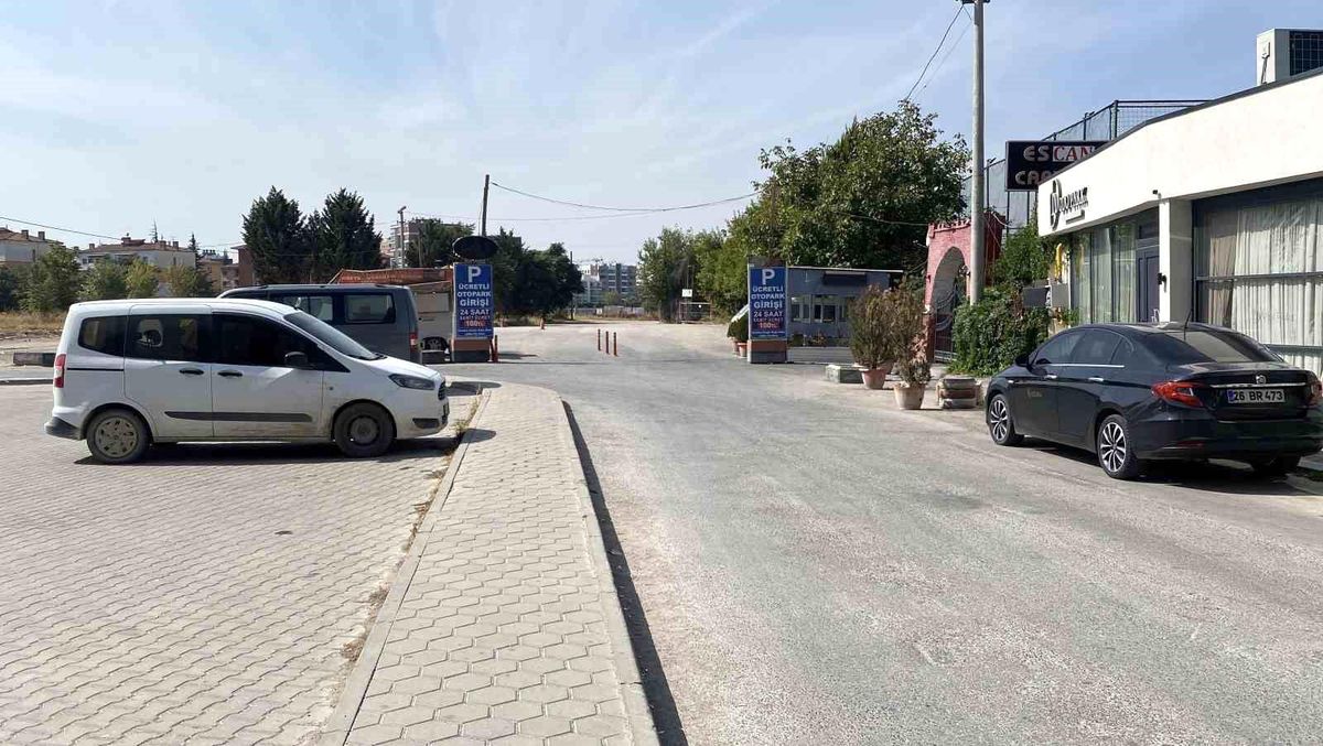 Eskişehir\'de Husumet Cinayeti: Yaşlı Adam Hayatını Kaybetti