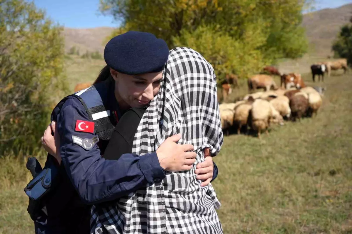 Kaybolan Koyunlar Jandarma Tarafından Bulundu