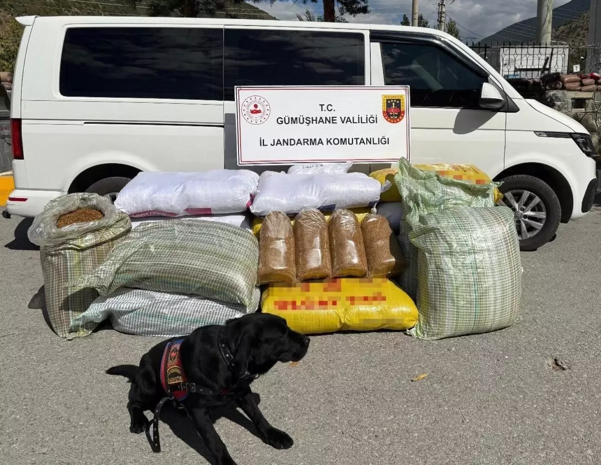 Gümüşhane\'de 530 Kilo Kaçak Tütün Ele Geçirildi