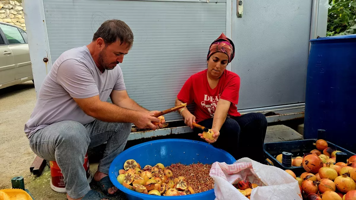 Nar Ekşisi İmece Geleneğiyle Üretiliyor