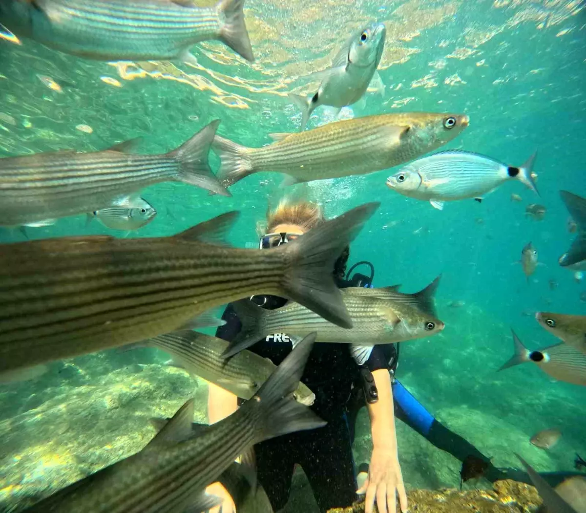 Marmaris\'te Dalış Turizmi Artıyor