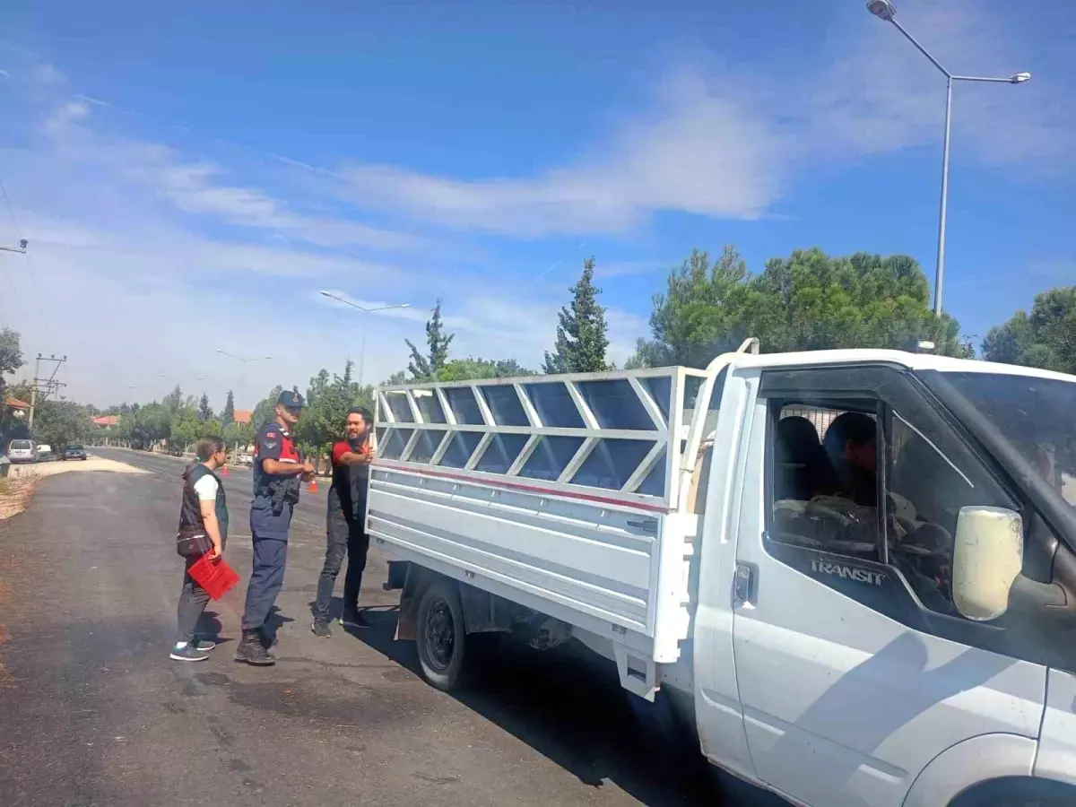 Uşak\'ta Şap Hastalığına Karşı Yol Kontrolleri Sürüyor