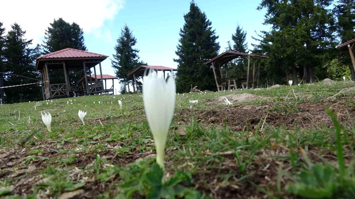 Yaylalarda Turizm Sezonu Sona Erdi