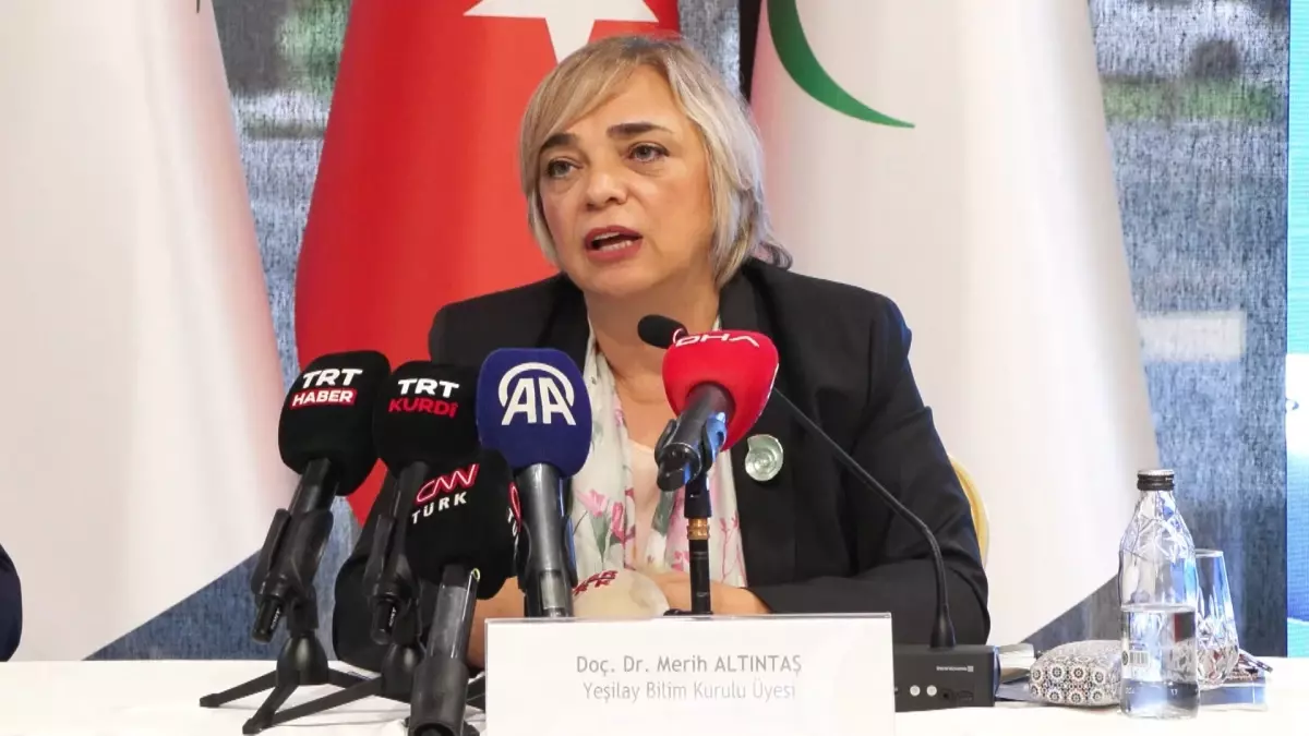 Kumar Bağımlılığı Artıyor