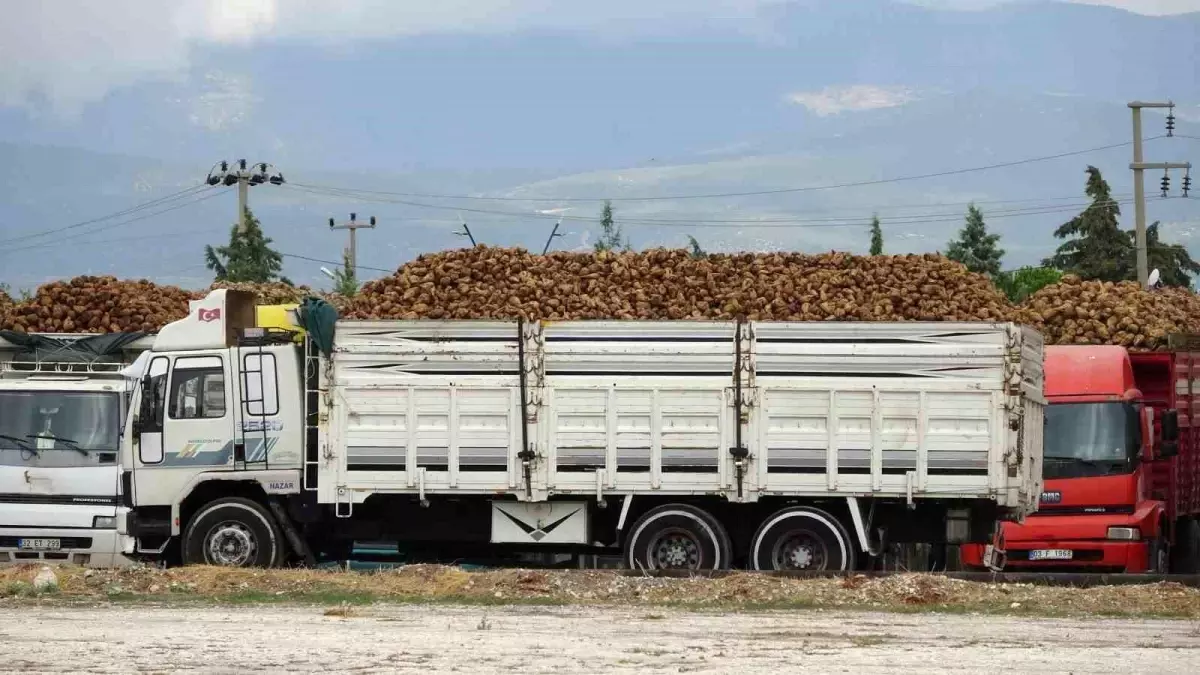 Burdur Şeker Fabrikası\'nda Pancara Başlangıç