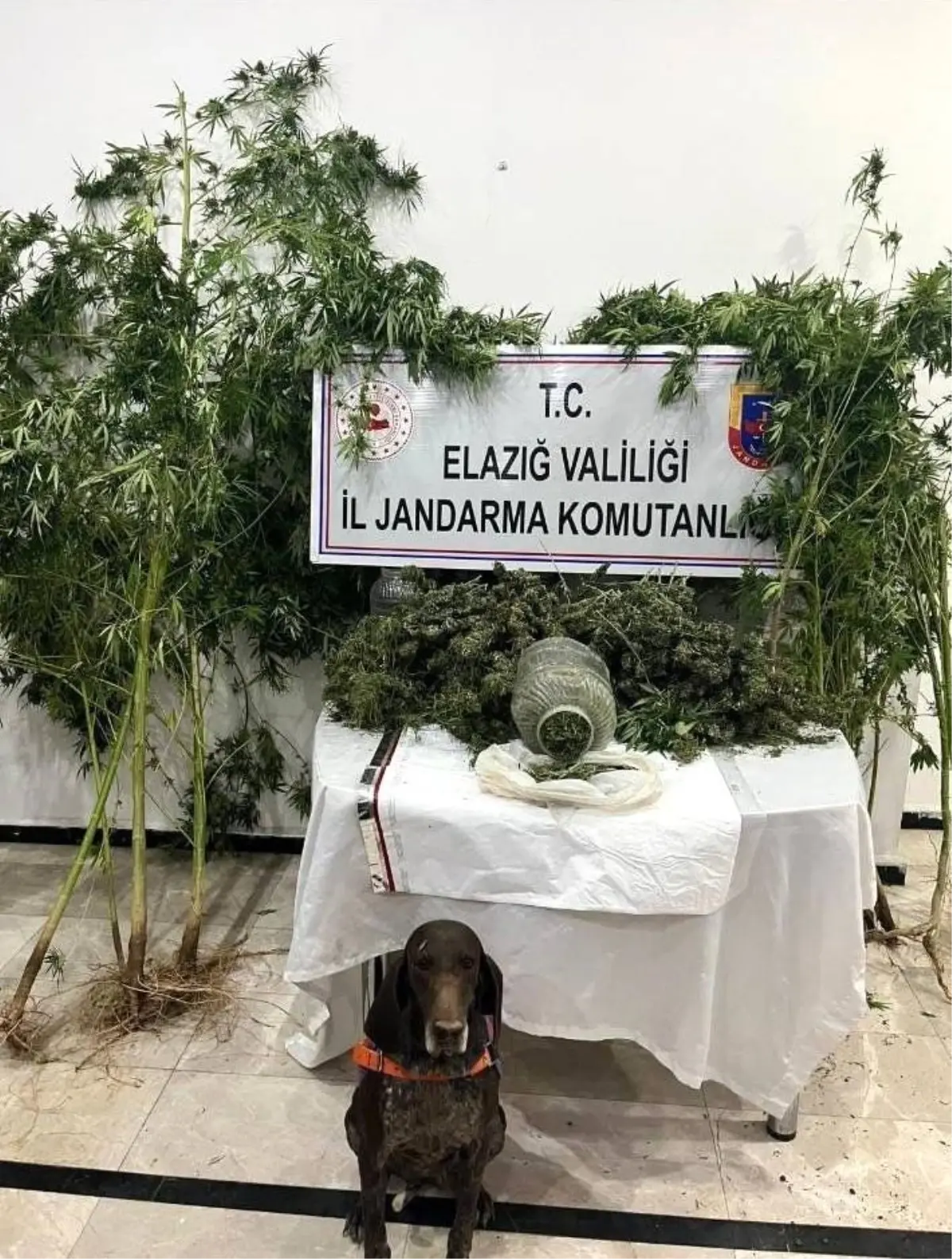 Elazığ\'da Uyuşturucu Operasyonu: 1 Tutuklama