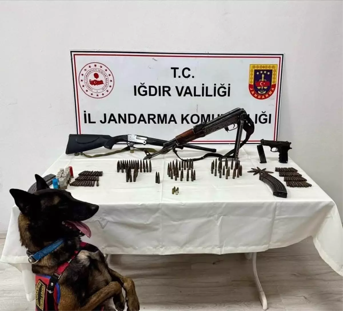 Iğdır\'da Silah Kaçakçılığı Operasyonu