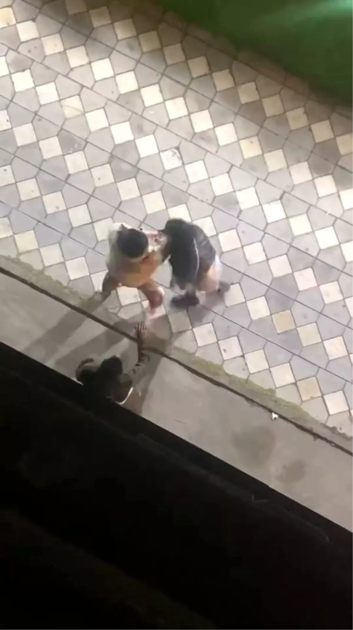 Esenyurt\'ta Kadınların Kavgası Kamerada