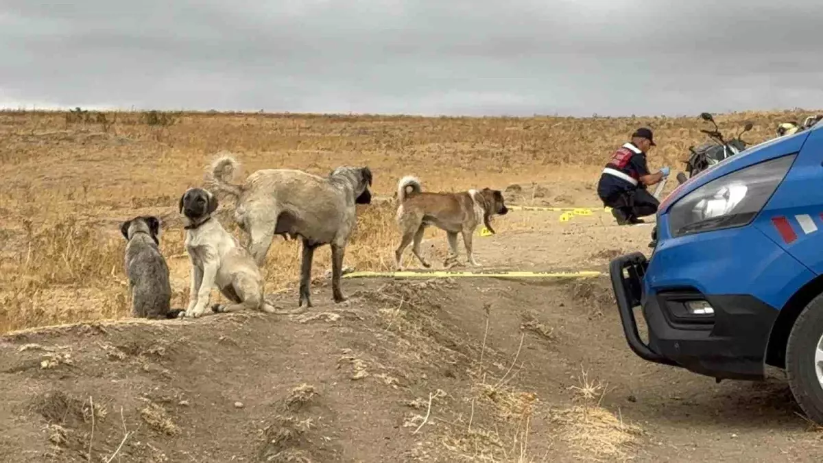 Arazi Kavgası Cinayete Dönüştü