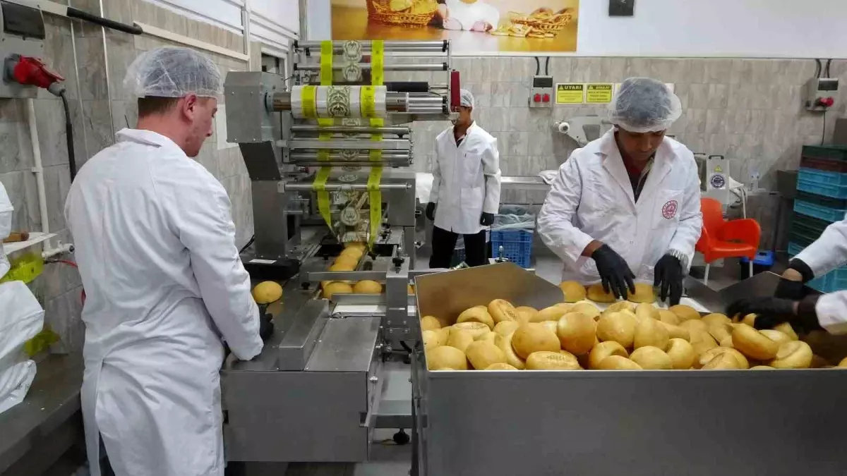 Öğrenciler Ekmek Üreterek Staj Yapıyor