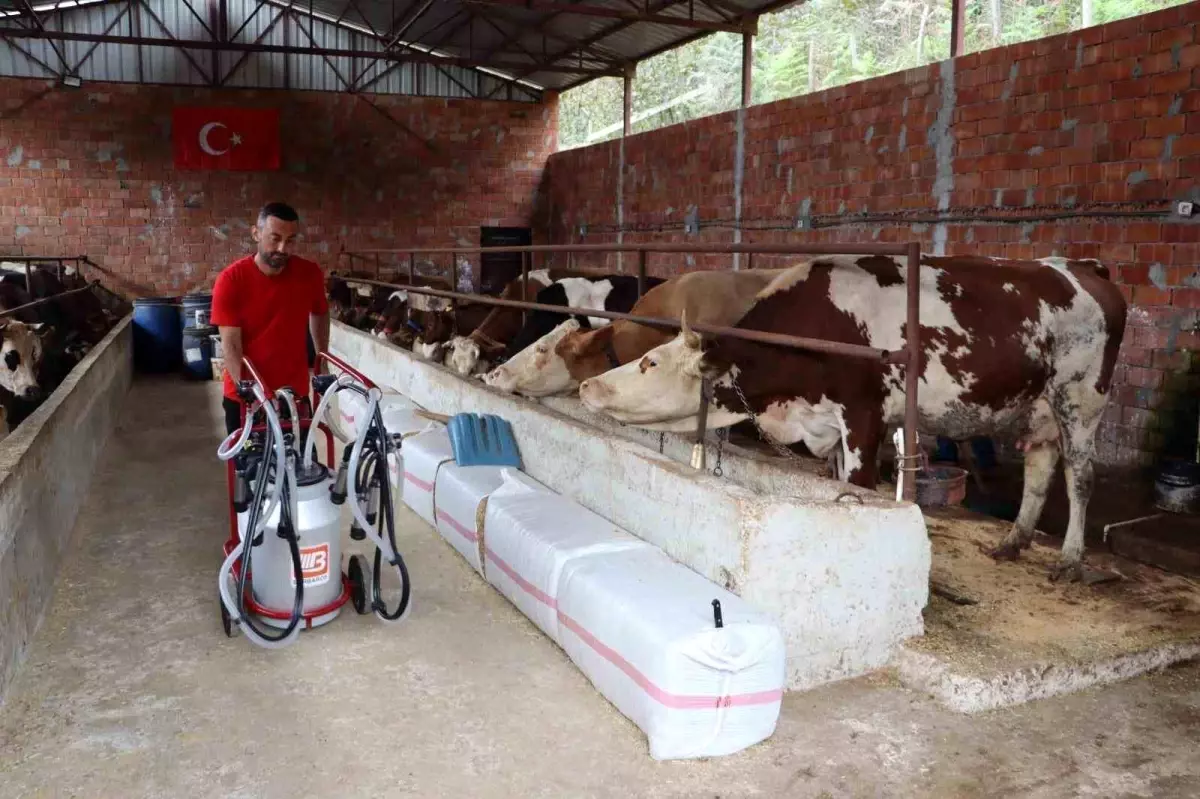 Ordu\'da Süt Üreticilerine Destek: Ev Tipi Soğutma Tankları Dağıtıldı