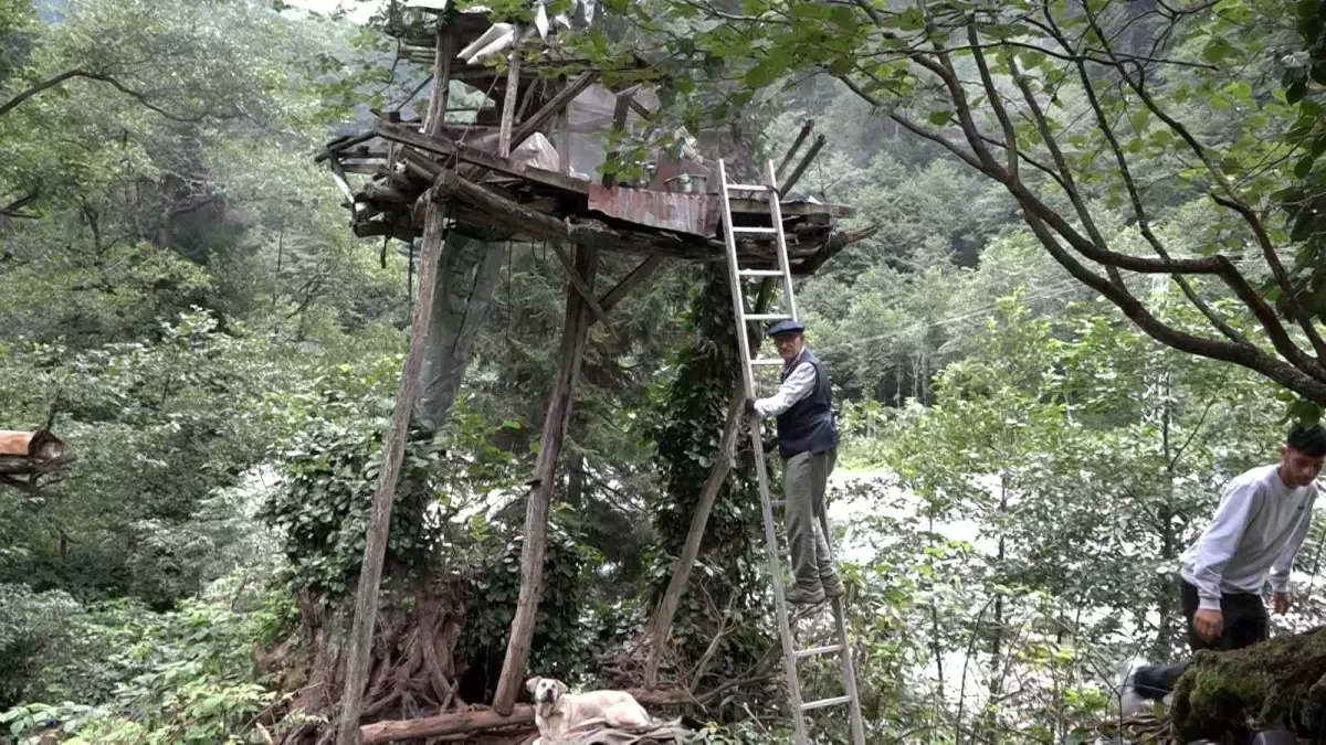 Rize\'de Karakovan Balı 7 Bin TL\'ye Satılıyor