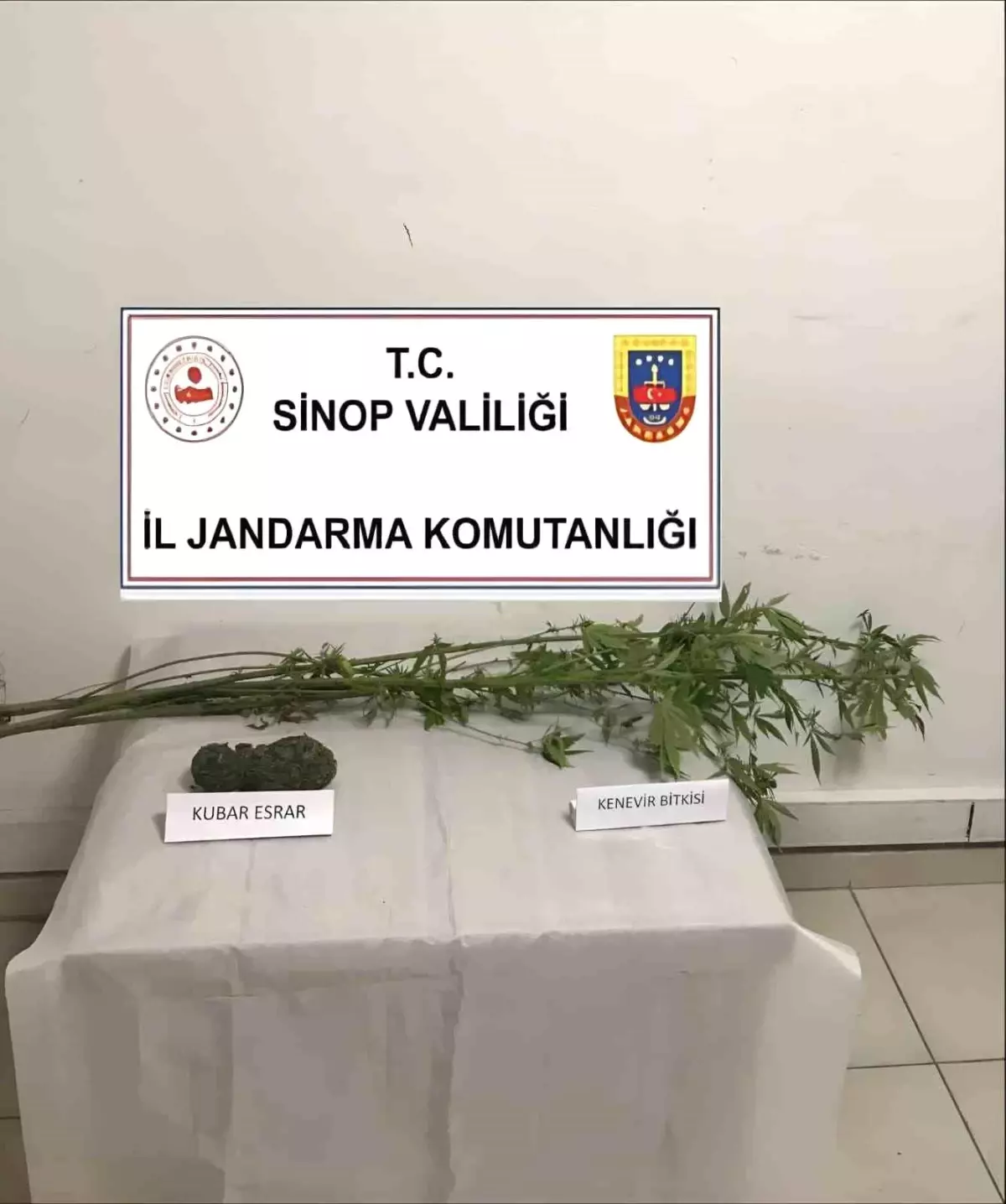 Ayancık\'ta Uyuşturucu Operasyonu