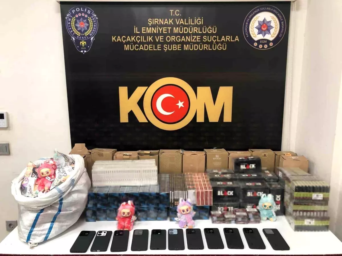 Şırnak\'ta Narkotik Operasyonu: 2 Tutuklama