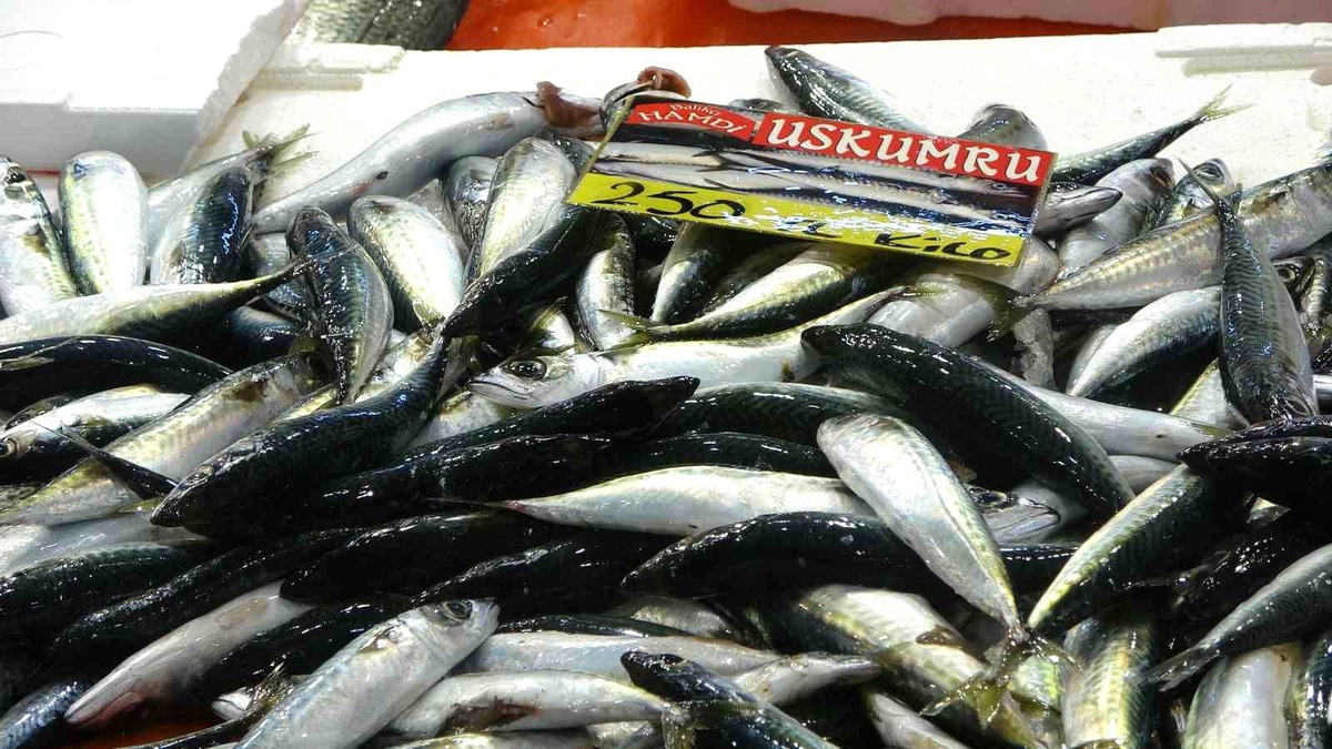 Kocaeli\'de Balık Fiyatları Yarısı Düştü