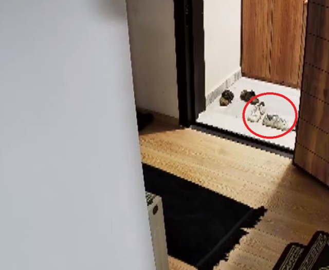 Güllü'nün ölümünde şok iddia: O gece eve iki erkek girdi