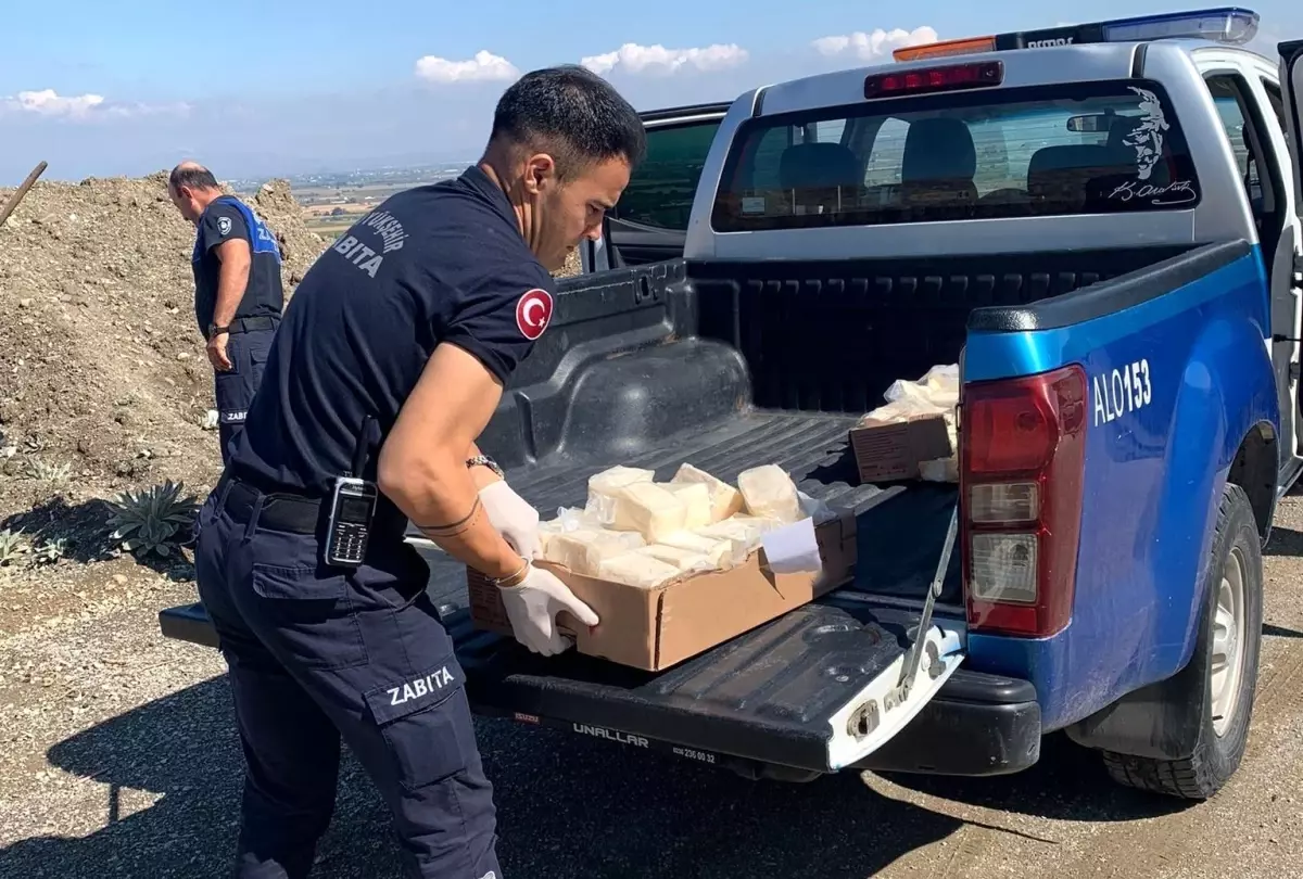 Manisa\'da Zabıta Ekiplerinden Sağlık Denetimi: 49 Kilogram Bozuk Peynir İmha Edildi
