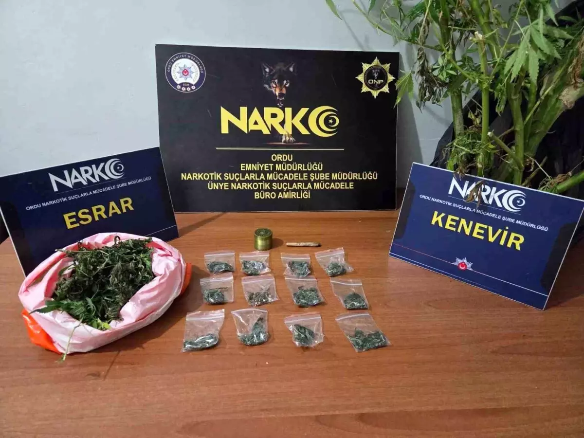 Ordu\'da Uyuşturucu Operasyonu: 2 Tutuklama