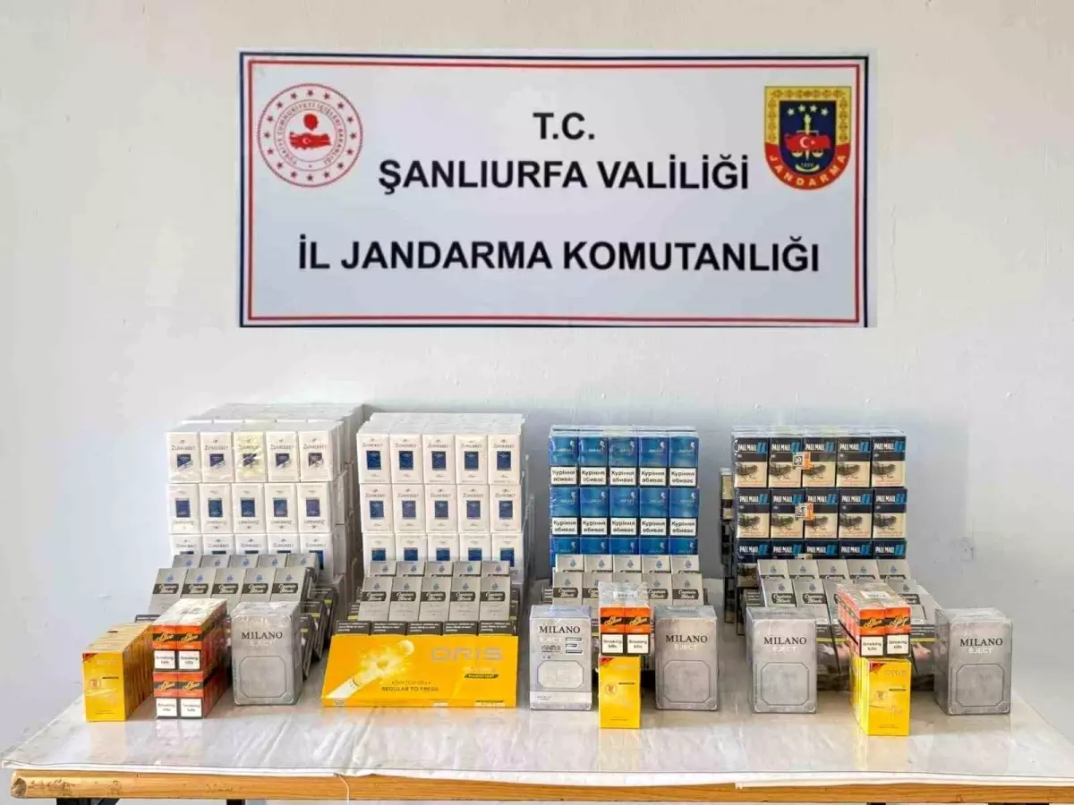Viranşehir\'de 1240 Paket Kaçak Sigara Ele Geçirildi