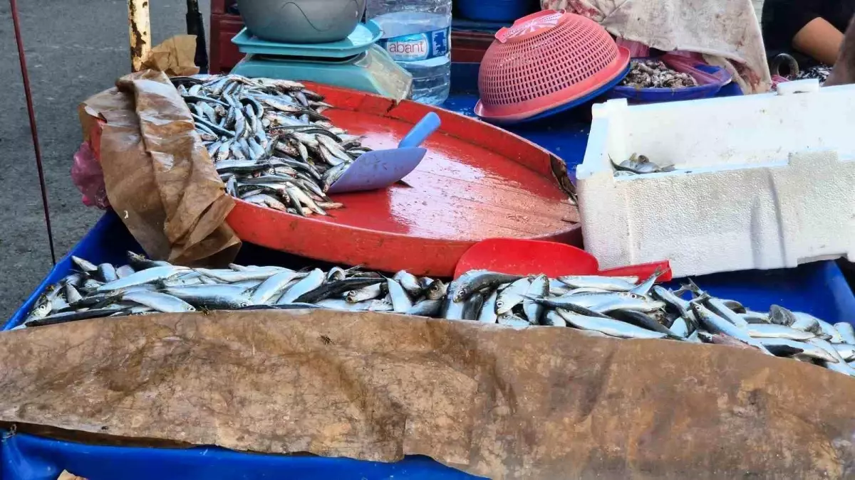 Süleymanpaşa\'da Seyyar Balık Satışı