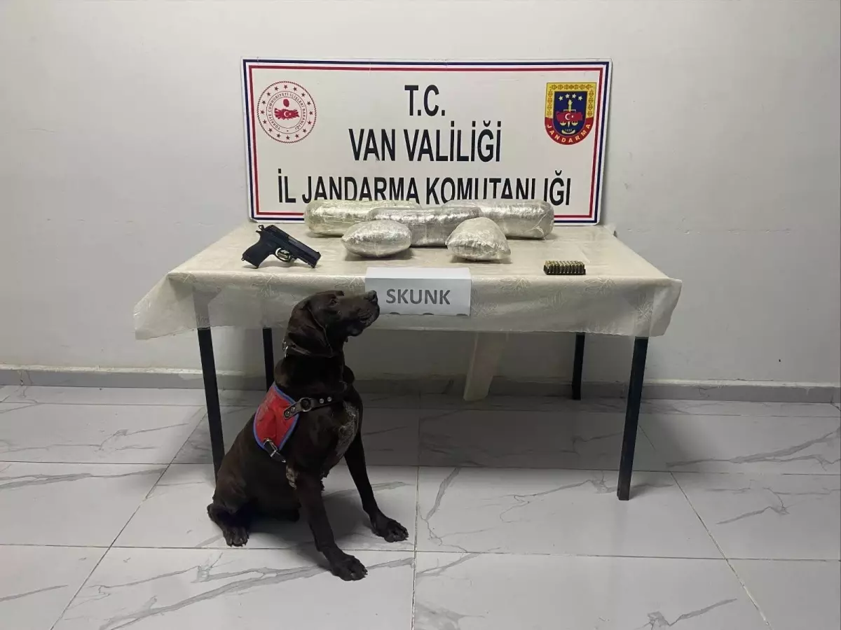 VAN\'da Narkotik Operasyonu: 4 Kilo Skunk Ele Geçirildi