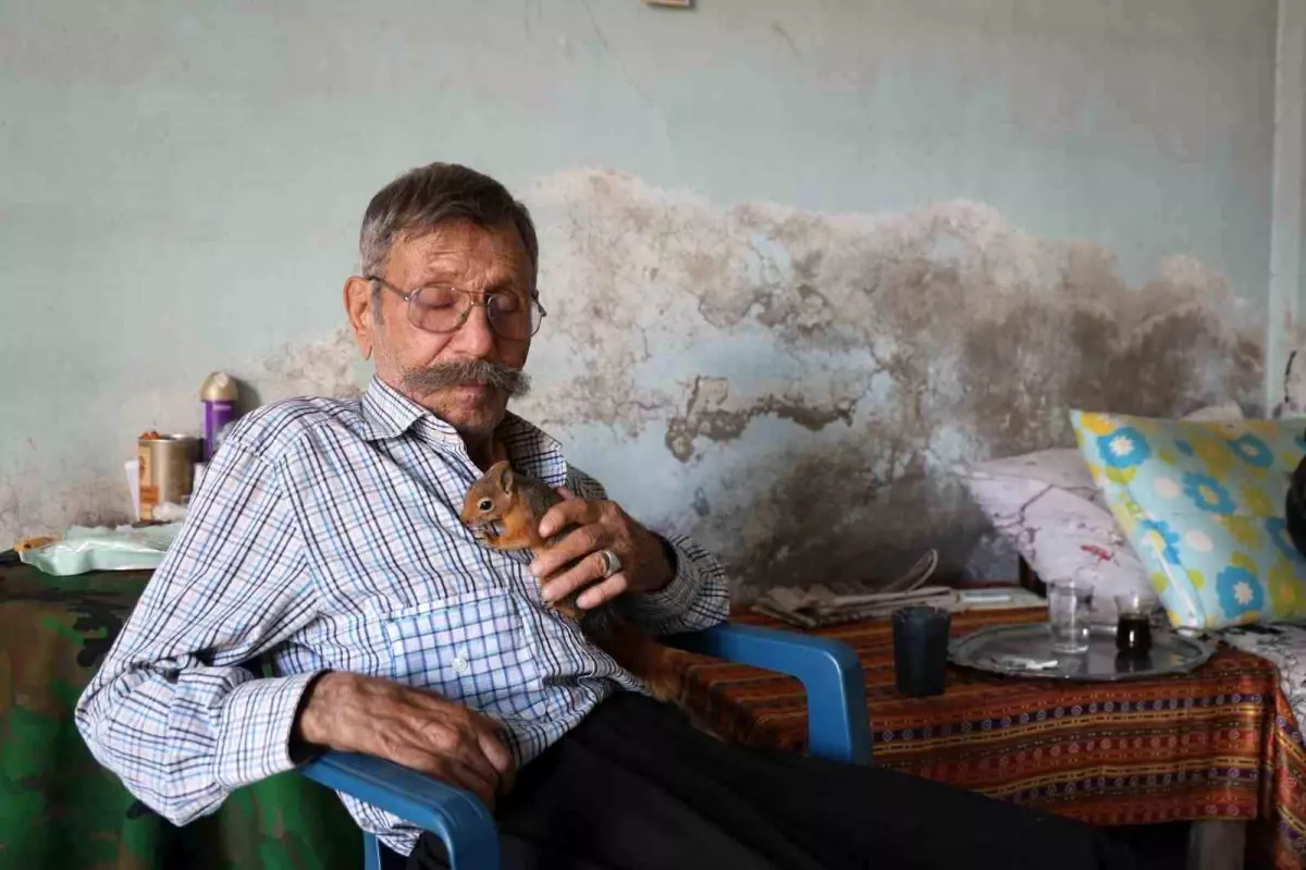 Sincap, engelli adamın yalnızlık arkadaşı oldu