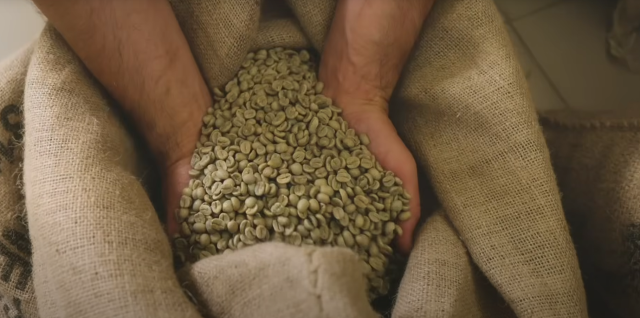Barista Guru ile kahvenin yolculuğu: Tarladan Fincana İlk Adım