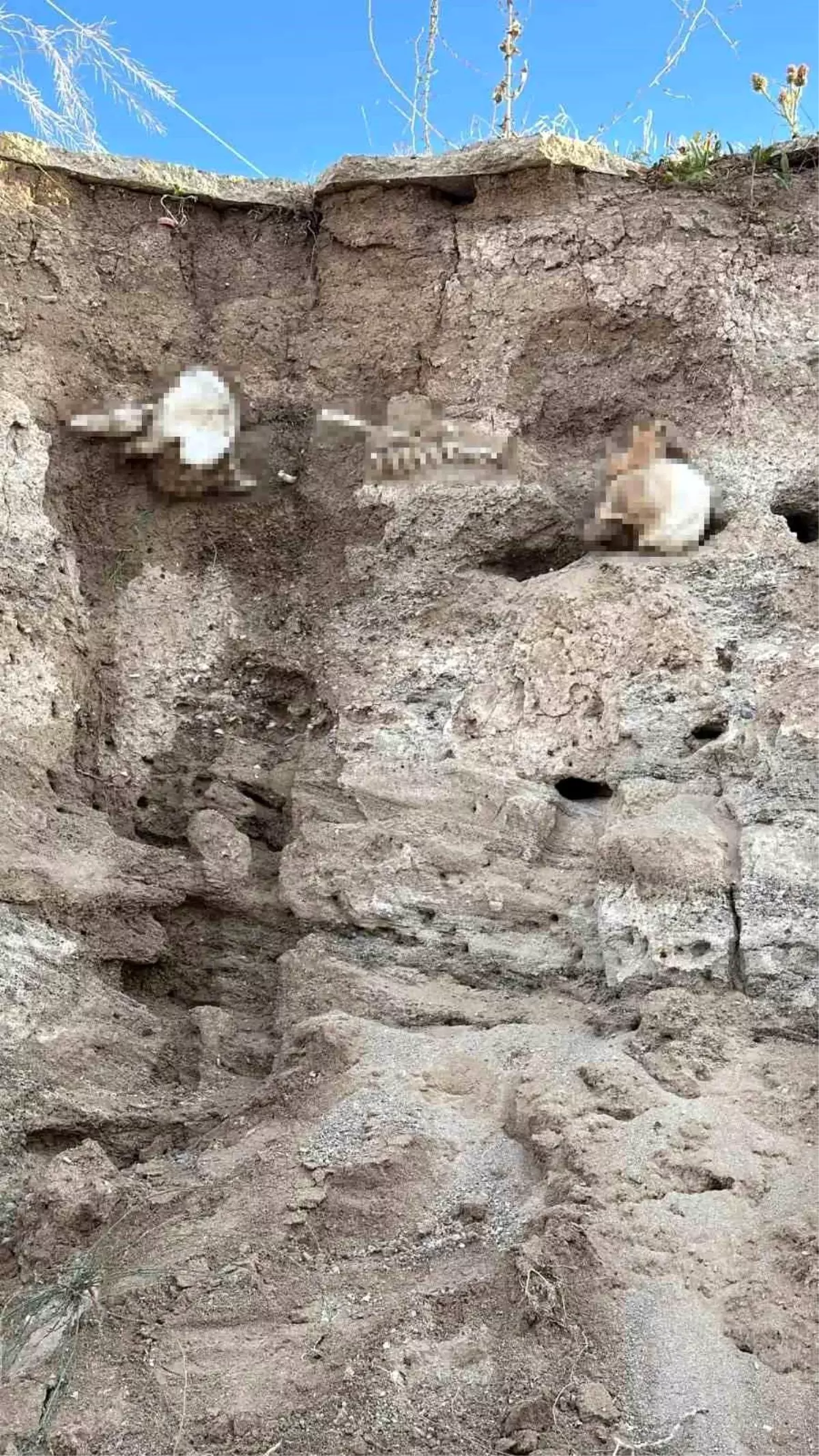 Yozgat\'ta toprak altında insan kemikleri bulundu