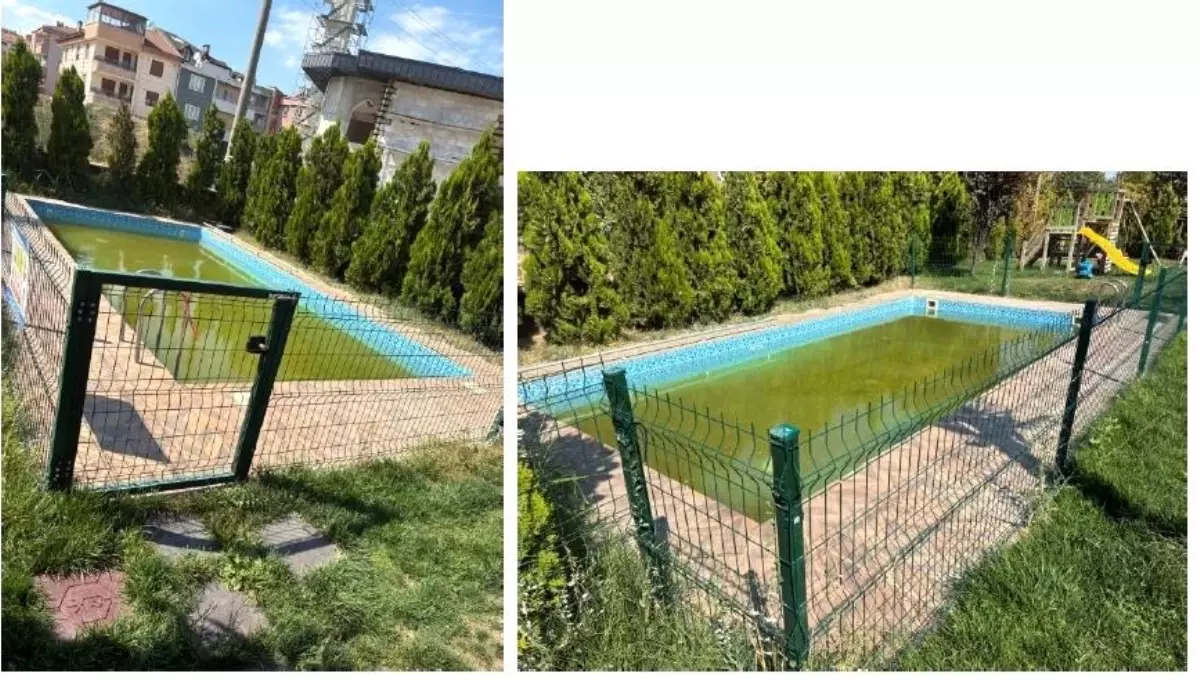 Yüzme Etkinliğinde Boğulma Tehlikesi: Berra Dizi\'nin Hayatını Kaybetmesi