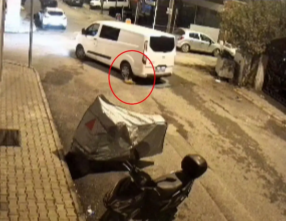 Minibüs Kediyi Ezdikten Sonra Yola Devam Etti