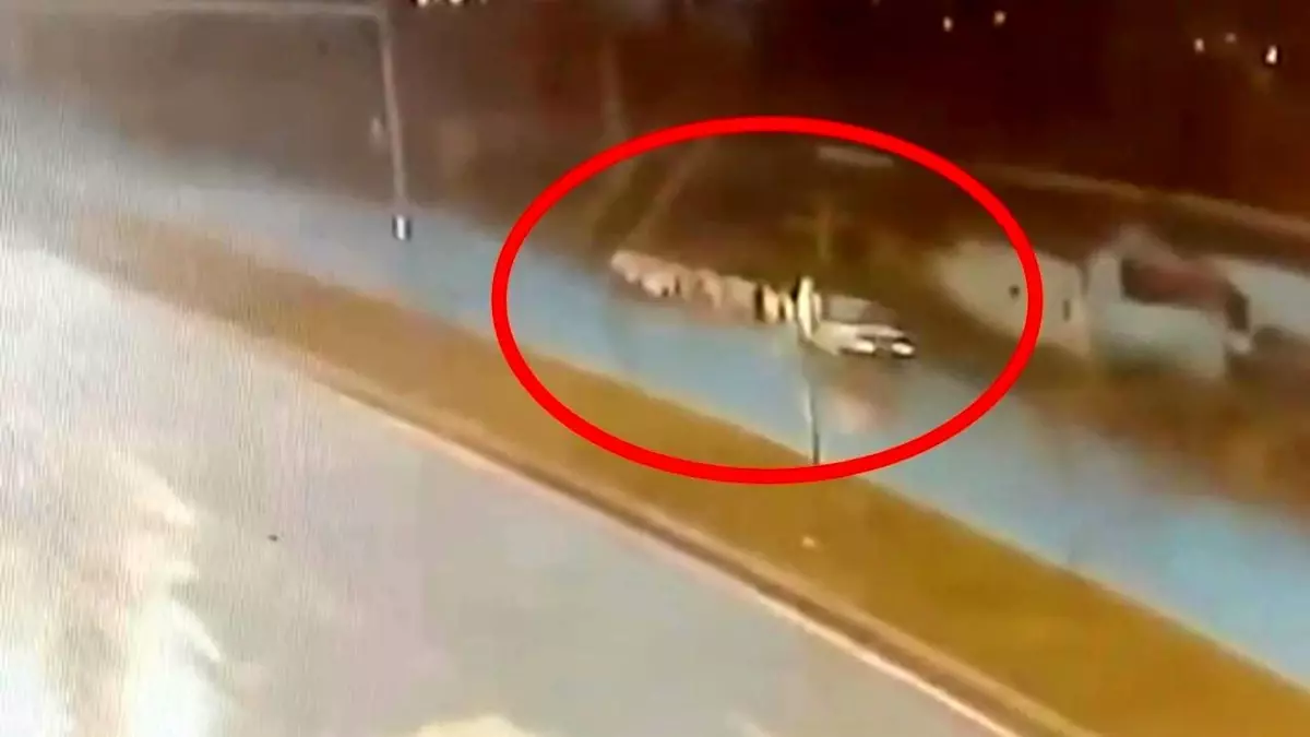 Samsun\'da Otomobil Çobana Çarptı