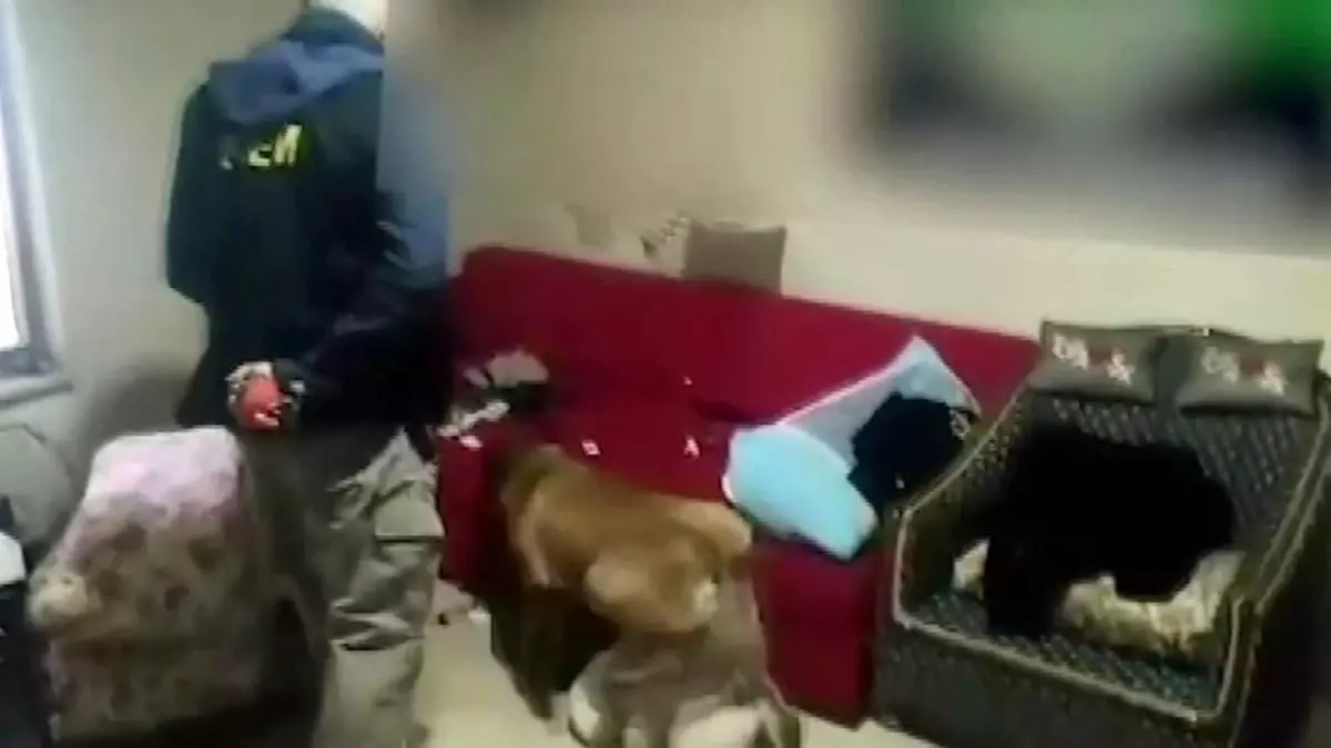 Sakarya\'da Uyuşturucu Operasyonu: 12 Tutuklama