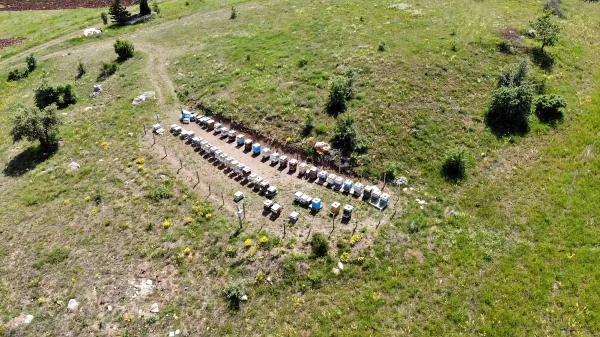 2025 Kovan Destekleme Başvuruları Başladı
