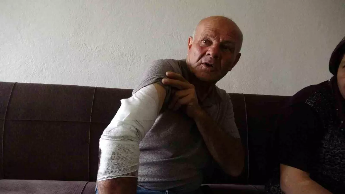 Burdur\'da Taksici Sokak Köpeğinin Saldısına Uğradı