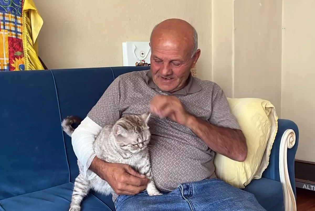 Taksici Sokak Köpeğinin Saldırısına Uğradı