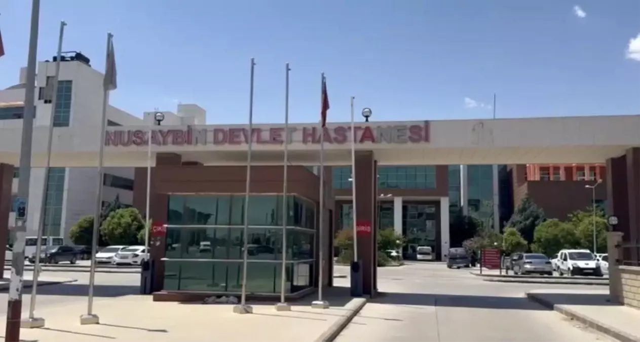 Nusaybin\'de Yanmış Ceset Bulundu