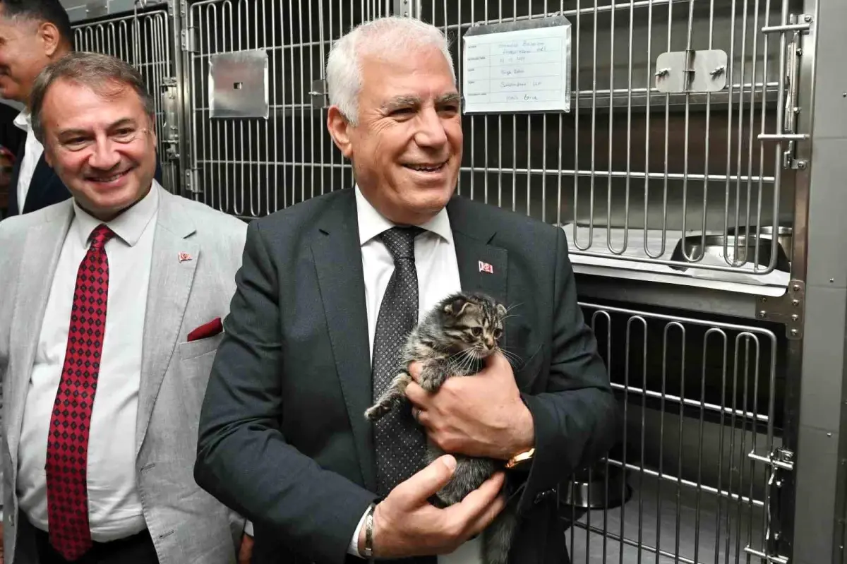Bursa\'da Sokak Hayvanlarına Şefkat Eli: Gümüştepe Bakımevi