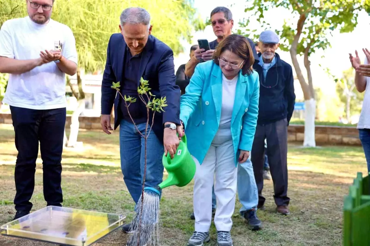 Didim ve Laubach Kenti Arasında Dostluk Meşesi Dikti