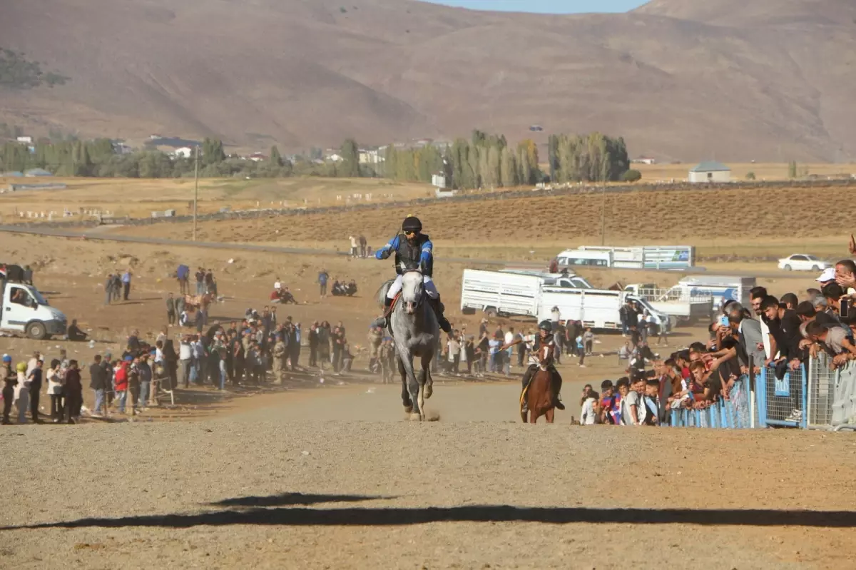 Karlıova\'da Geleneksel At Yarışları