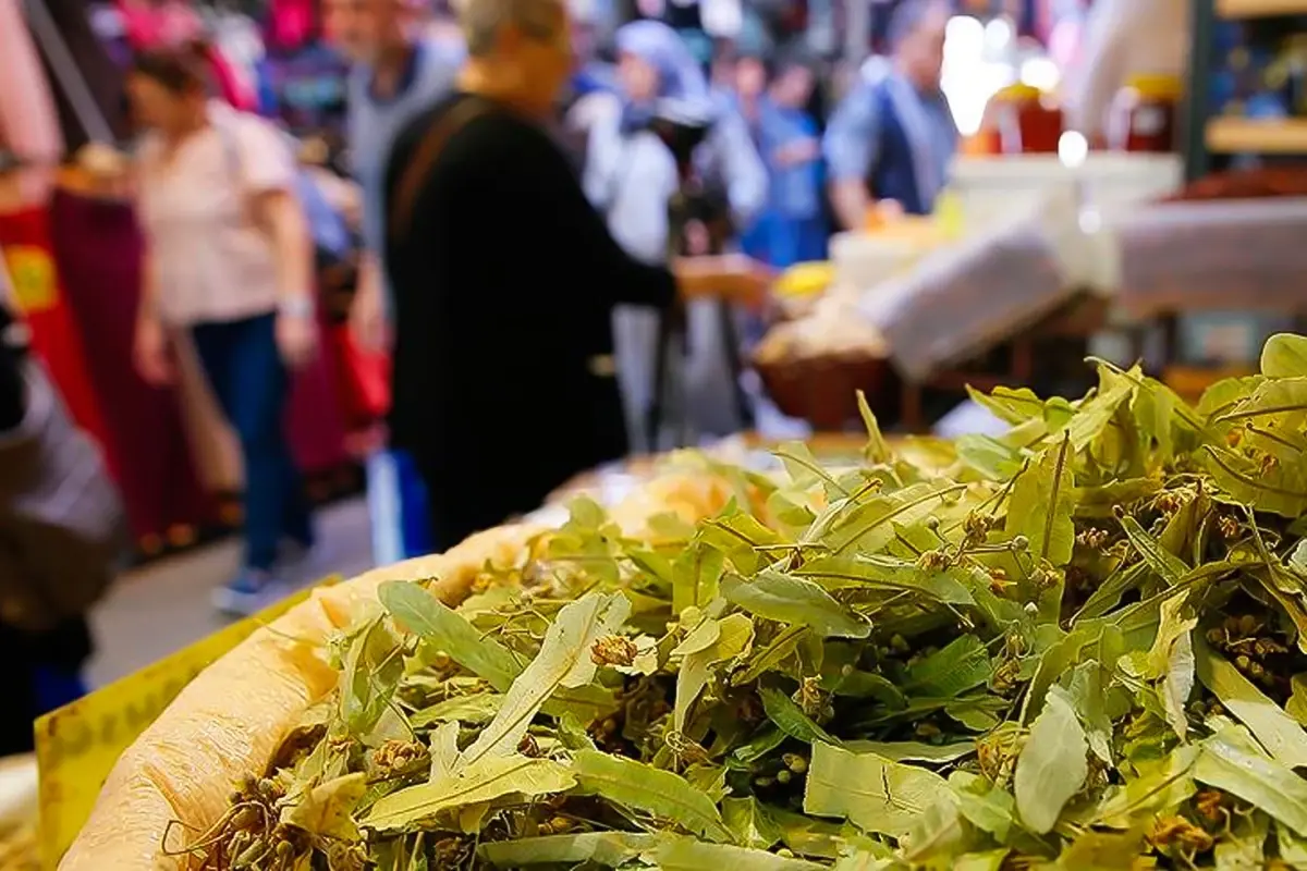 Ihlamurun fiyatı altınla yarışıyor