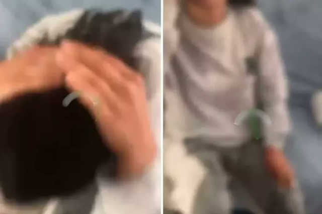 Kız kardeşine kaynar su döken ağabey yaptıklarını böyke savundu: Namus meselesi