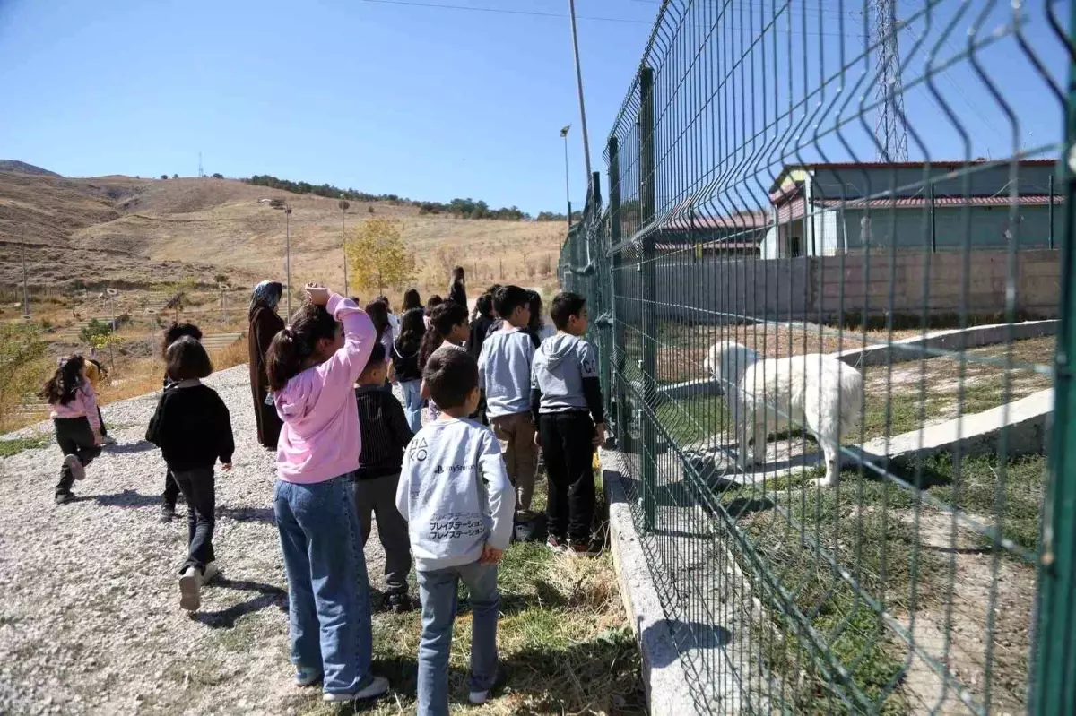 Van\'da Dünya Hayvanları Koruma Günü Etkinlikleri