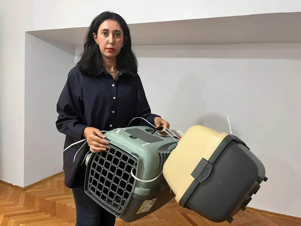 Kaybolan Kedi İçin Suç Duyurusu