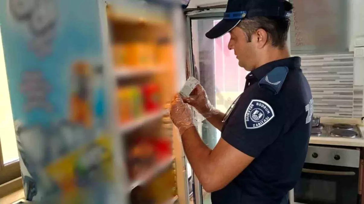 Bodrum\'da Okul Kantinlerine Denetim Başlatıldı