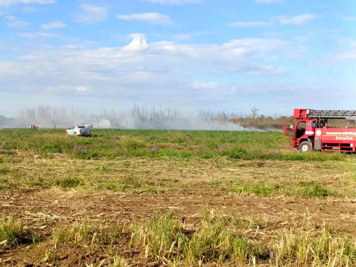 Kaynarca\'da Yangın Kontrol Altında