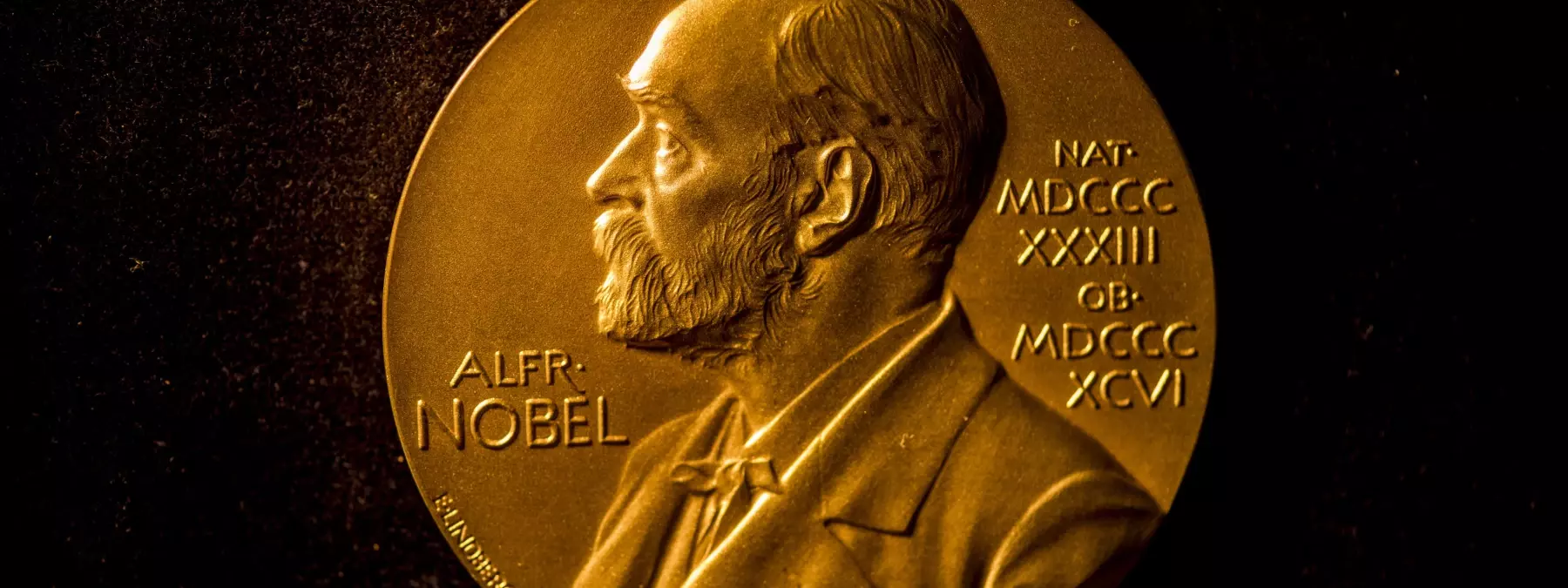 2025 Nobel Tıp Ödülü Sahiplerini Buldu