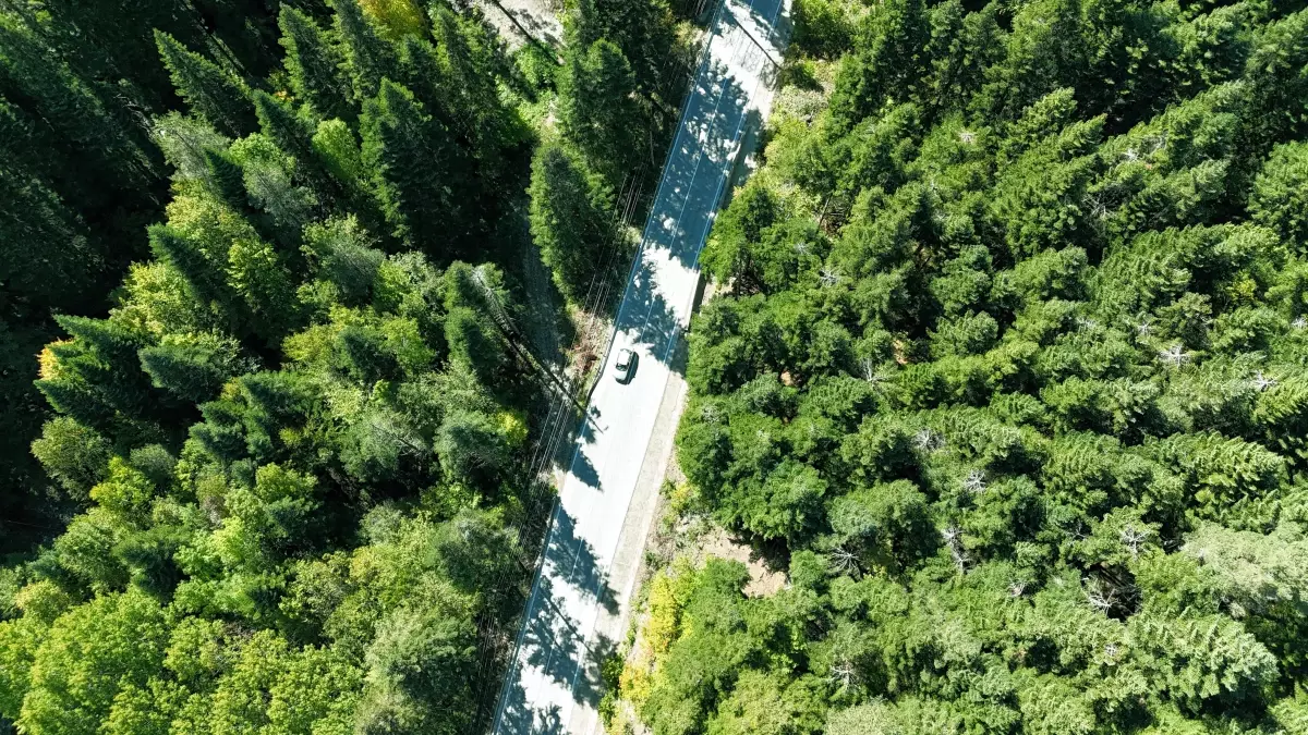 Abant\'ta Sonbahar Güzelliği