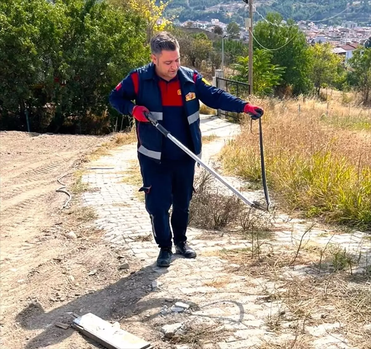 Yılan Bağ Evine Girdi, İtfaiye Yakalandı